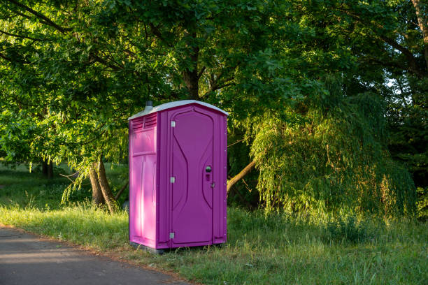 Best Portable bathroom rental  in Dland, MI